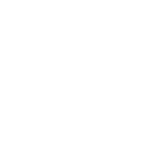 Social Media Management